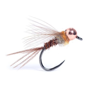 Sweet Pheasant