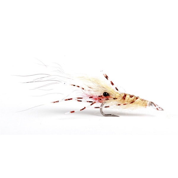 Leoshrimp Tan #6