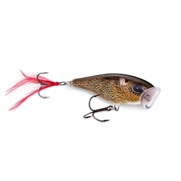 Rapala Skitter Pop 7cm - Bilde 16