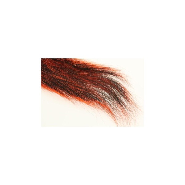 Silver Tip Squirrle Tail - Bilde 5