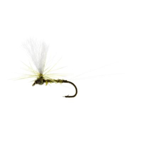 Baetis Dun Biot Olive