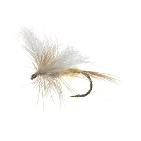 Gul Forsslända Yellow #12
