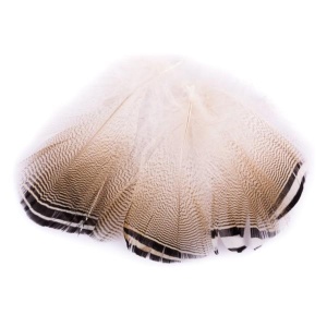 Wood Duck Black and White Flank Feathers