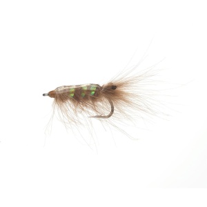 Shrimp Tan str6