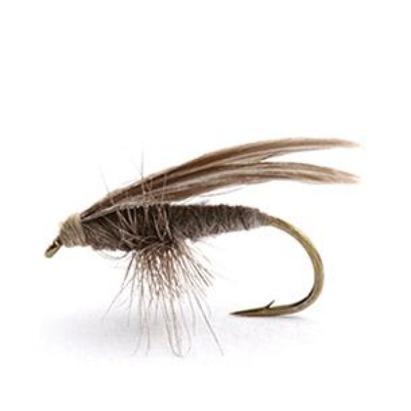 SLOW WATER CADDIS GRÅ VÅRFLUE TØRR - 12