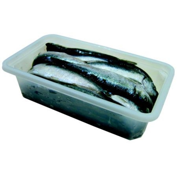 Brisling liten ca. 6-10cm