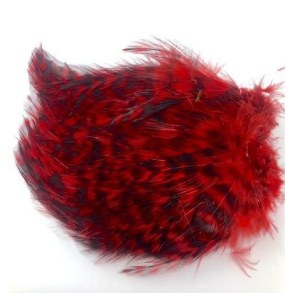 Barred Strung Neck Hackle - Bilde 4