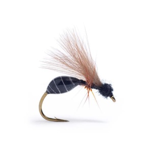 RS Glue Ant Black