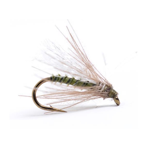 Cdc Midge Olive