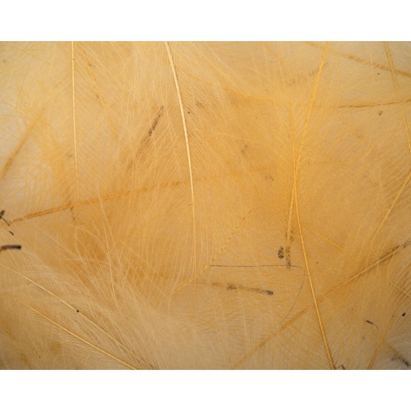 Petitjean CDC Feathers 1gr - Bilde 5