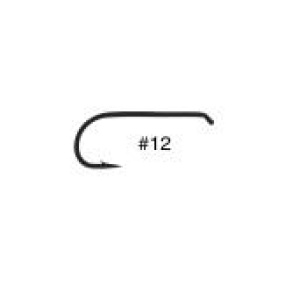 TMC 100 #16 - Q100