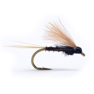 Cdc Biot Dun Emerger Lepto