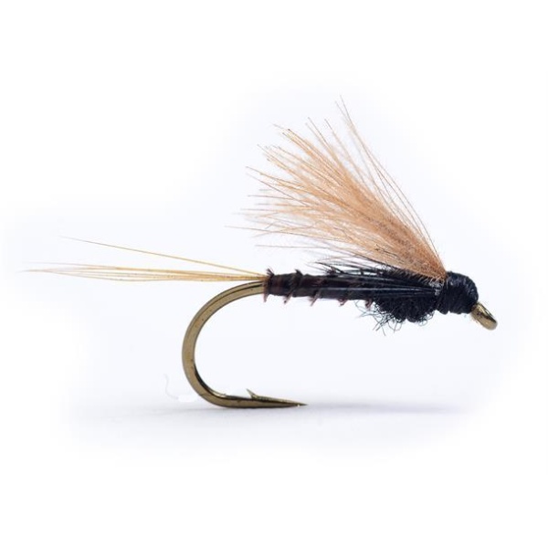 Cdc Biot Dun Emerger Lepto