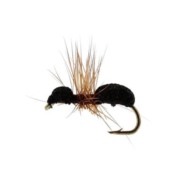 Foam Ant Brown #16