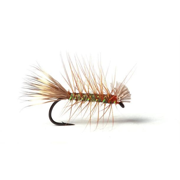 Flash Dyret