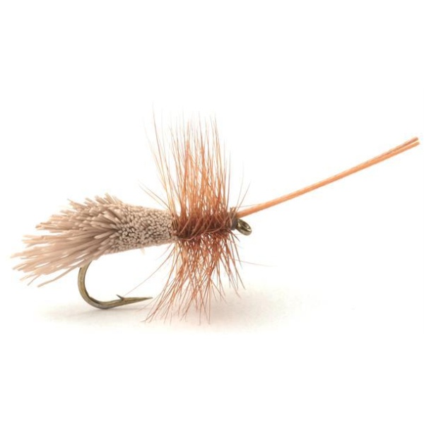 Goddard Caddis