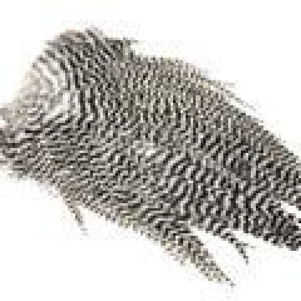 Freshwater Streamer Saddle Grizzly