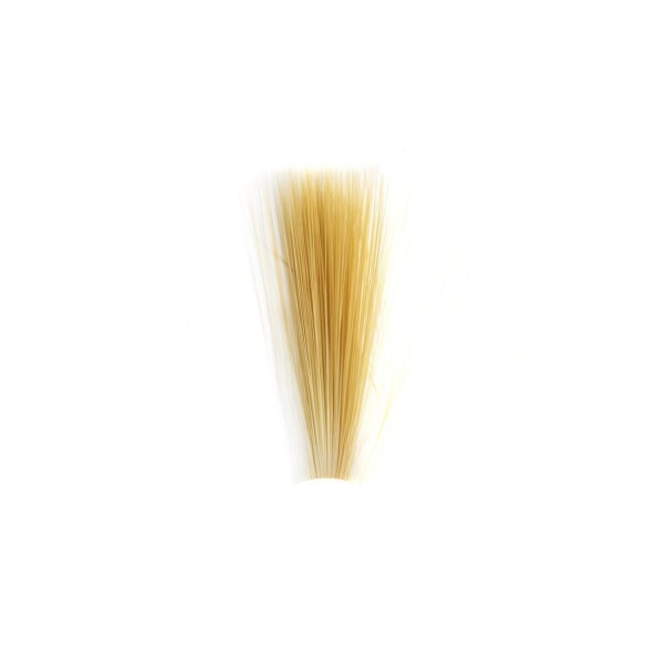 Tail Fibres - Bilde 4