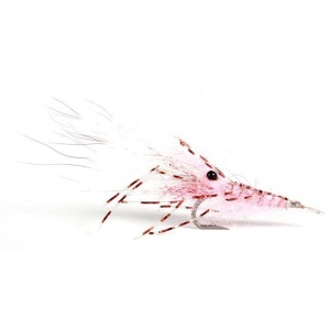 Leoshrimp Pink #6