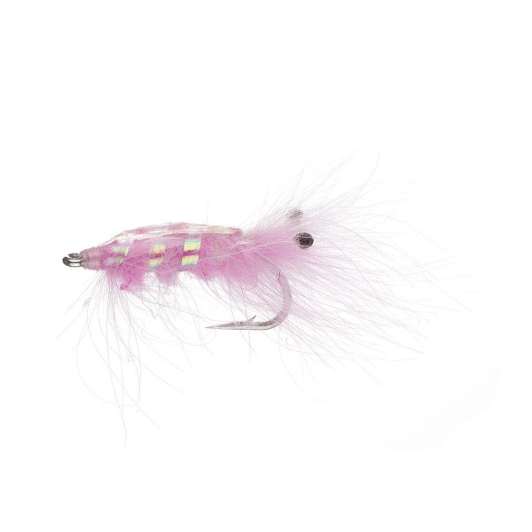 Shrimp Pink str6