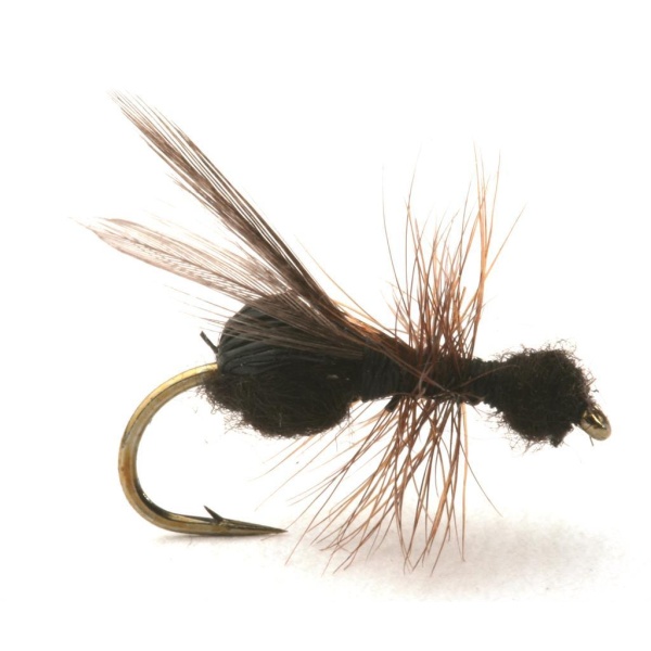 Flying Ant Black
