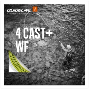 Guideline 4 Cast+ Flyt