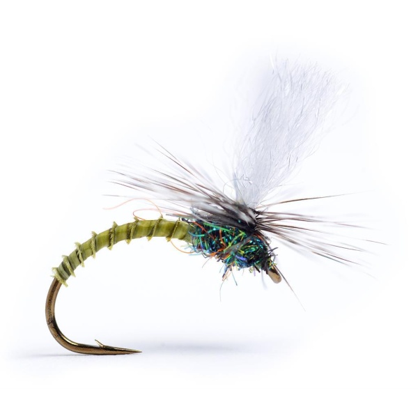 Klink Lt. Olive Biot