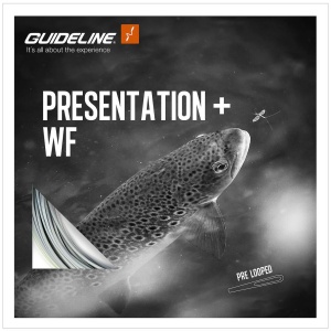 Guideline Presentation+