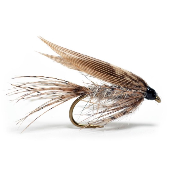 March Brown