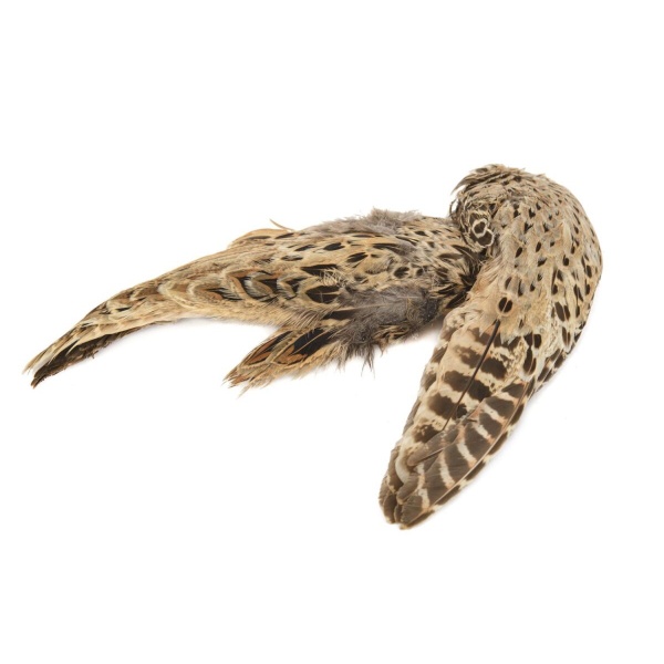 Phesant Hen Ringneck Whole Wings - Bilde 2