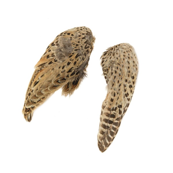 Phesant Hen Ringneck Whole Wings