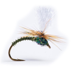 Klink Dk. Olive Biot