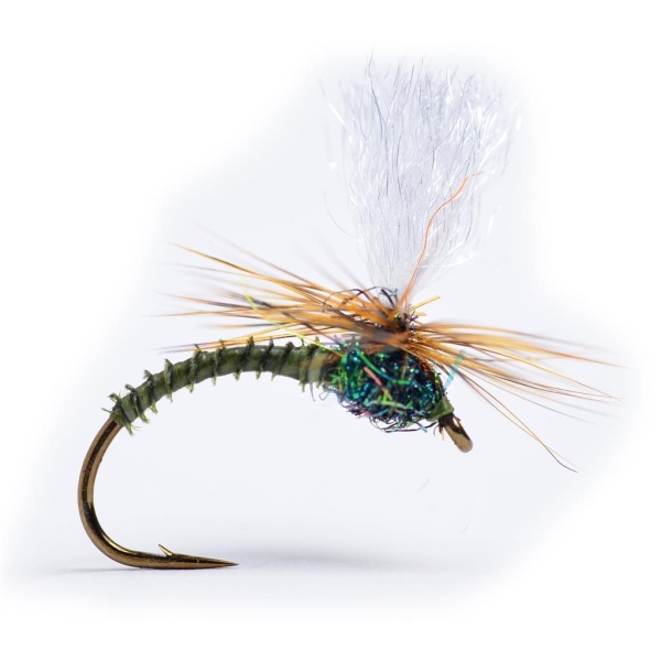 Klink Dk. Olive Biot