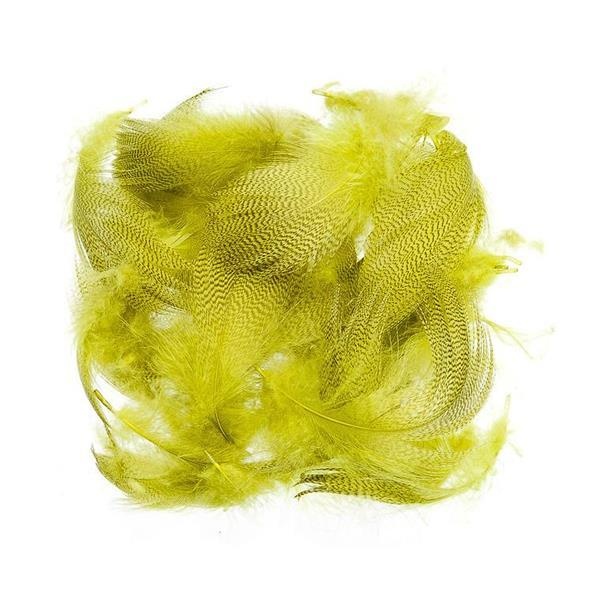 Mallard Barred Flank - Bilde 4