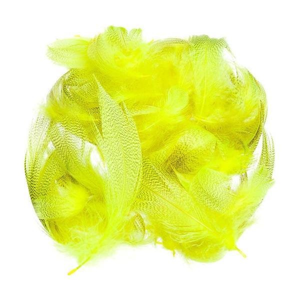 Mallard Barred Flank - Bilde 5