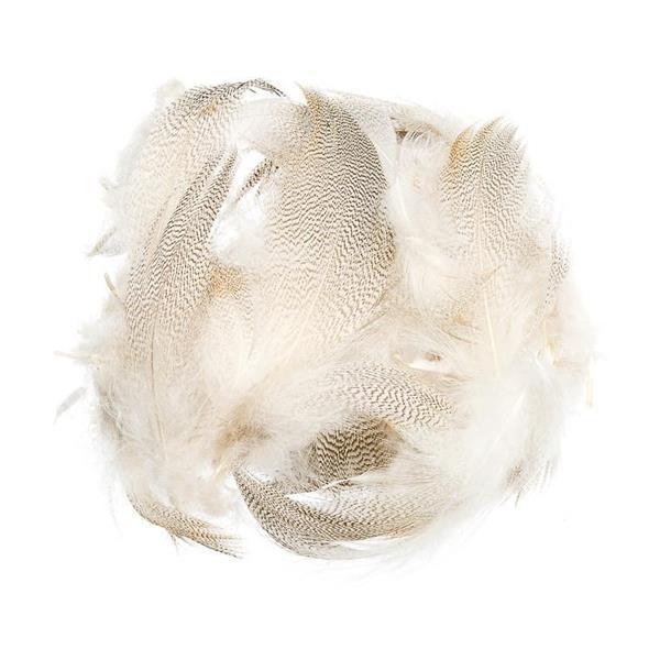 Mallard Barred Flank - Bilde 3