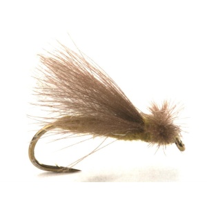 CDC Caddis Adult Olive