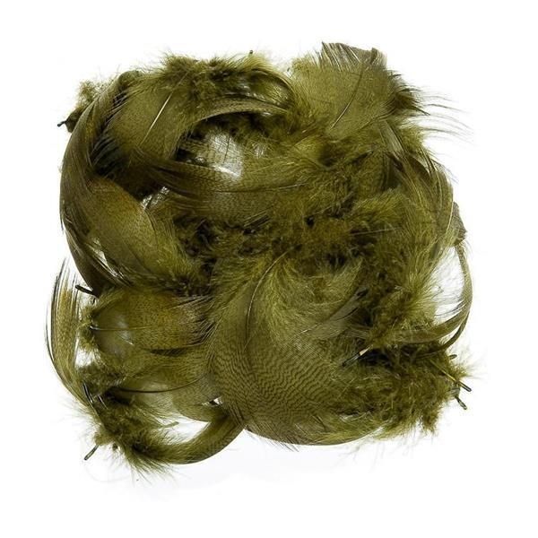 Mallard Barred Flank - Bilde 8