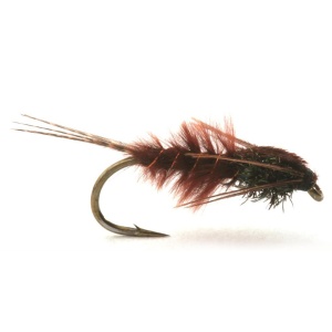 Leptonymfa