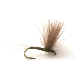 CDC Biot Comparadun Olive