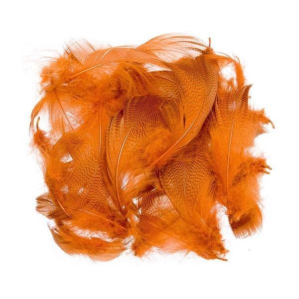 Mallard Barred Flank - Bilde 2