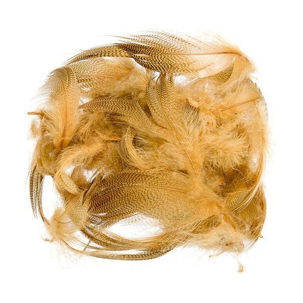Mallard Barred Flank - Bilde 9