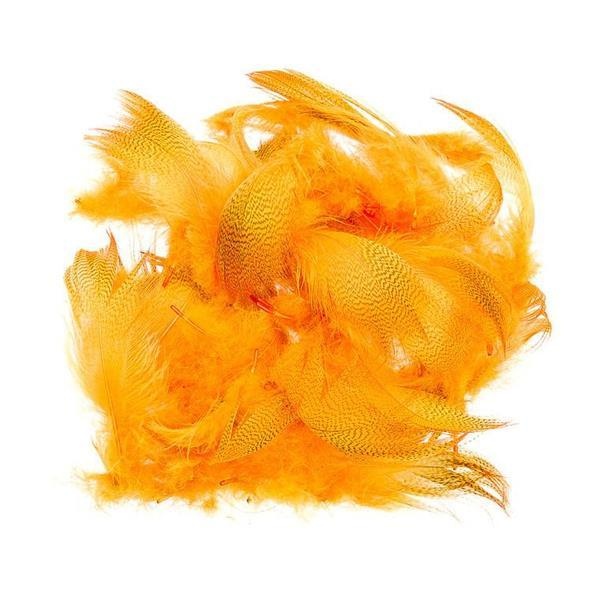 Mallard Barred Flank - Bilde 10