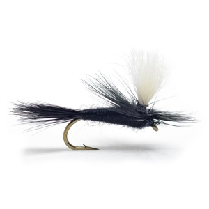 Parachute Black