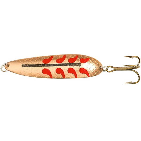 Sølvkroken Salamander Trout - Bilde 5