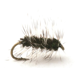 Griffiths Gnat