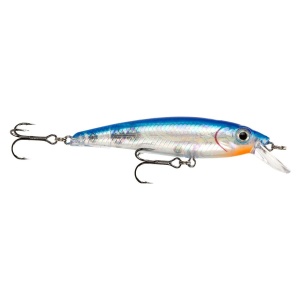 Prey Seatrout Target
