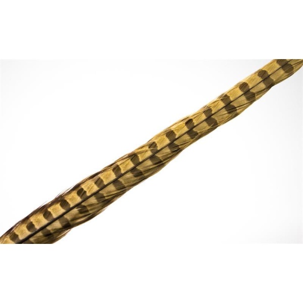 Fasantupp mittre Hale - Bilde 5