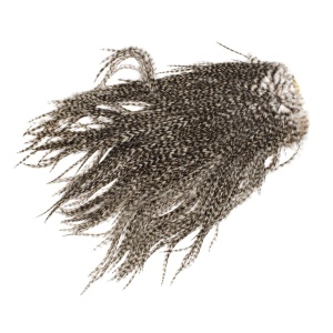 Whiting Coq de Leon Gold Saddle Grizzly