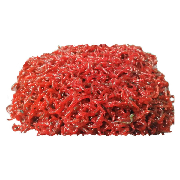 Fjærmygglarver 15g